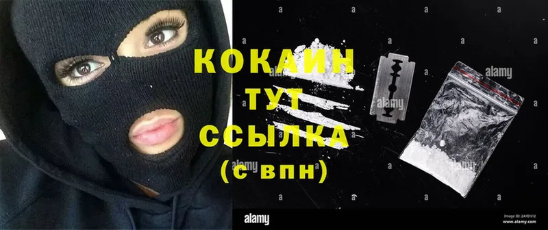 mega ссылки  Кингисепп  Cocaine FishScale 